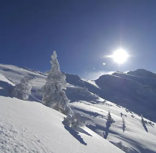 ホテル Krosbacher Hof ゼーフェルト・イン・チロル